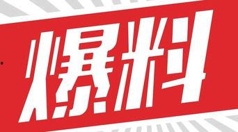 獨家爆料,震驚內(nèi)幕，揭秘事件背后真相！