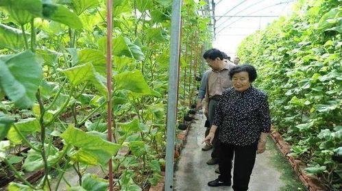 娛樂(lè)圈吃瓜代號(hào)蜜蜂是誰(shuí),娛樂(lè)圈神秘吃瓜者的真實(shí)身份揭秘