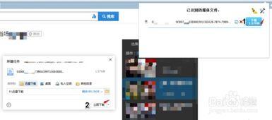 黑料網(wǎng)永久免費網(wǎng)站直接進入網(wǎng)頁,暢游網(wǎng)絡世界的秘密通道