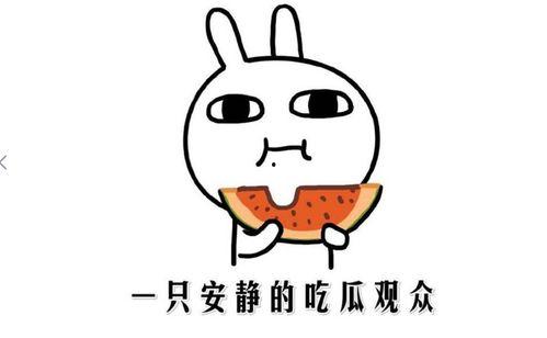 吃瓜網(wǎng),吃瓜網(wǎng)帶你領略明星幕后故事